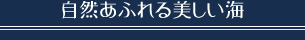 自然あふれる美しい海